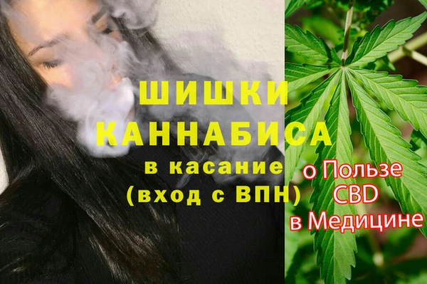 прущие грибы Абаза