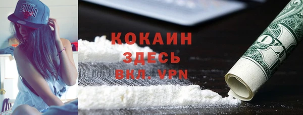 прущие грибы Абаза