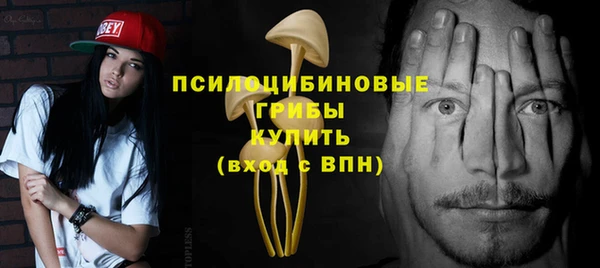 прущие грибы Абаза