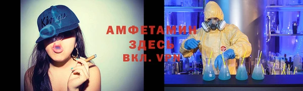 прущие грибы Абаза