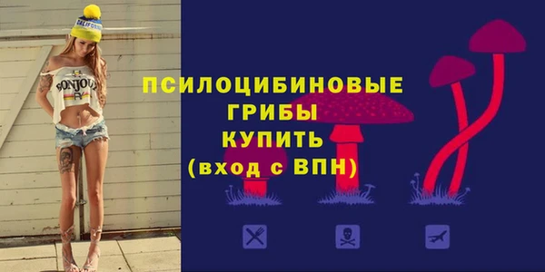соль ск Алексин