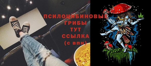 тгк Абинск