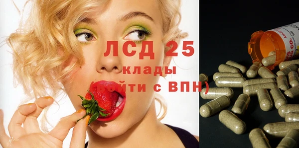 прущие грибы Абаза